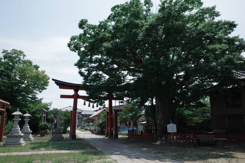 曽根神社,新潟県新潟市西蒲区曽根6