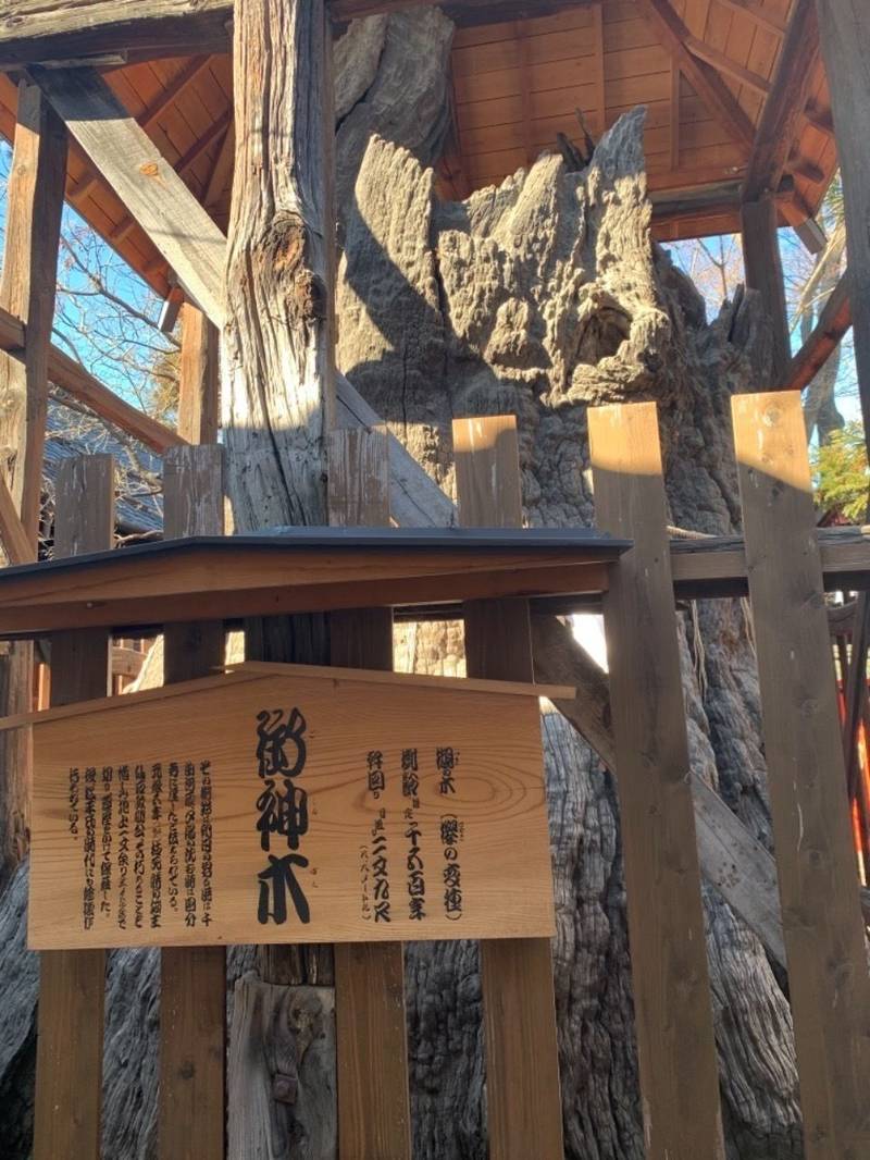 科野大宮社 御朱印 上田市 長野県 Omairi おまいり 科野大宮社 御朱印 上田市 長野県 Omairi おまいり