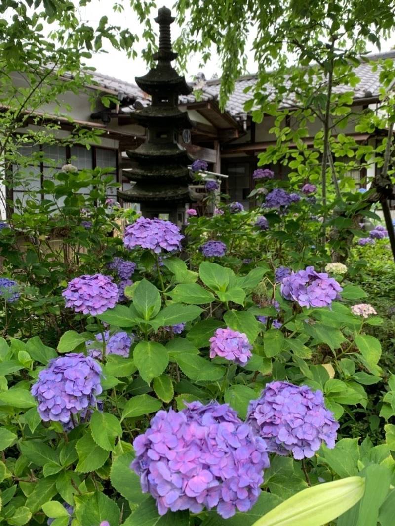 資福寺の御朱印