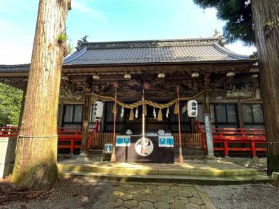 丑寅神社,見どころ,うさぎ