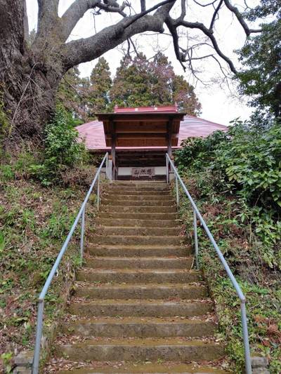 観音寺,見どころ,zx14