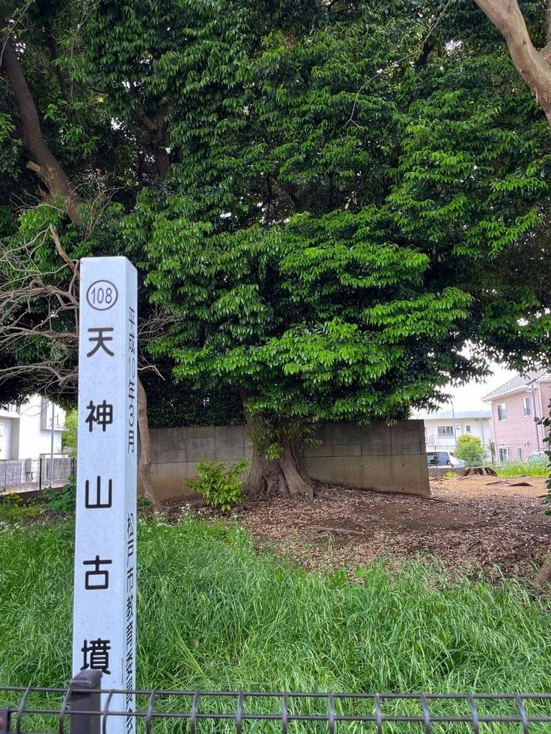 松戸新田天満宮,千葉県松戸市松戸新田526