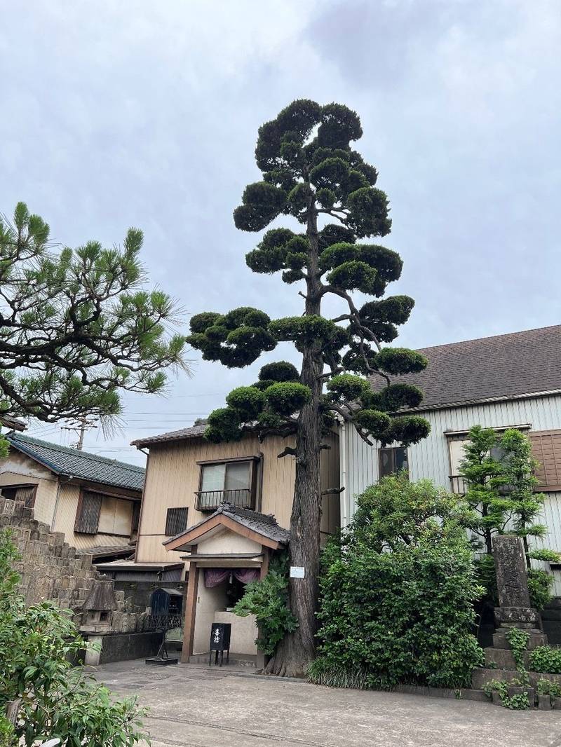 玉林寺,愛知県東海市横須賀町植松4・二ノ割93