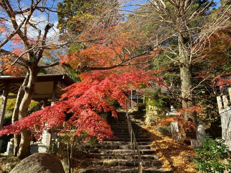 鷲林寺 御朱印 西宮市/兵庫県 Omairi(おまいり)