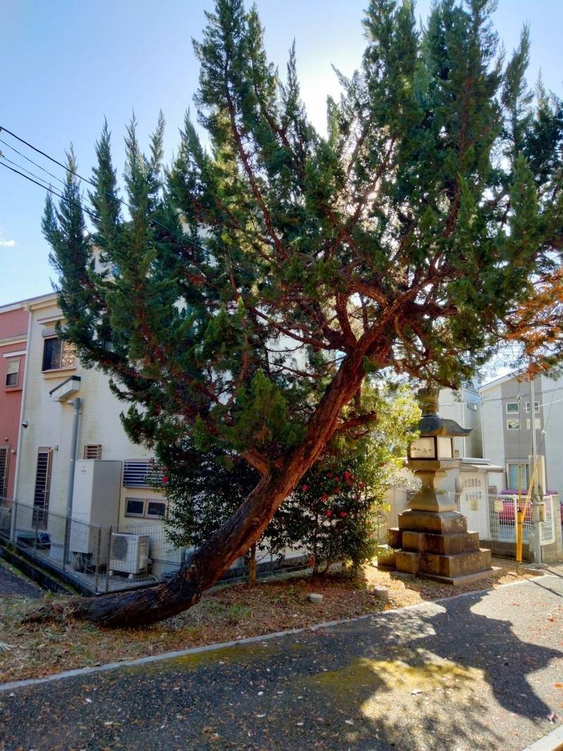 太田神社,大阪府茨木市太田3丁目15-1