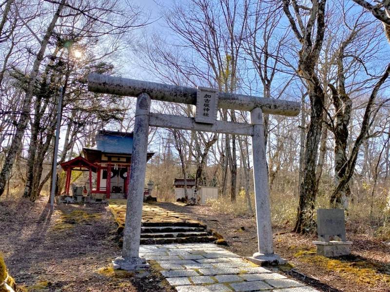 加古坂神社,山梨県南都留郡山中湖村平野