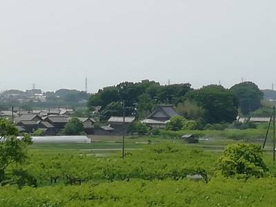 寳林寺,見どころ,