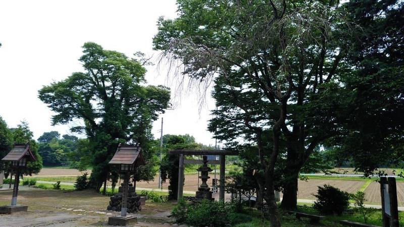 出雲乃伊波比神社,埼玉県熊谷市板井824