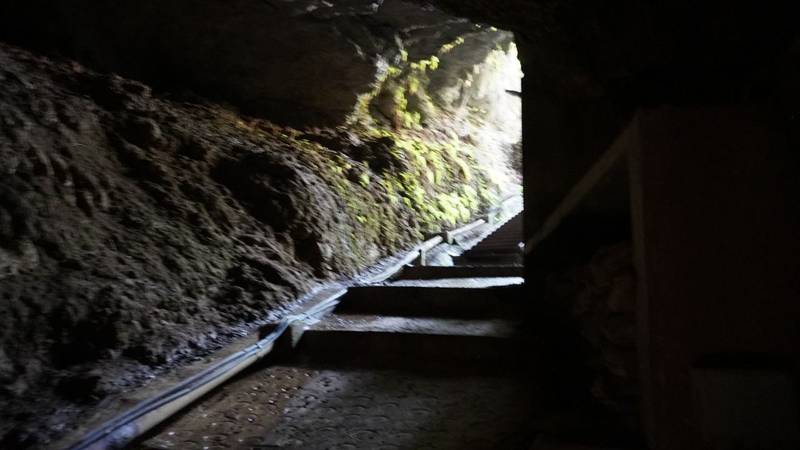 世並蔵神社,鹿児島県大島郡知名町徳時1383