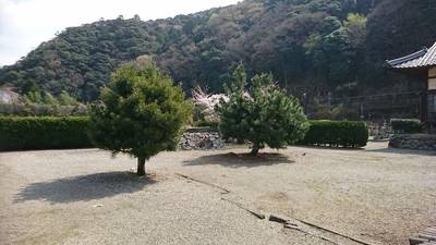 妙興寺,見どころ,kenken