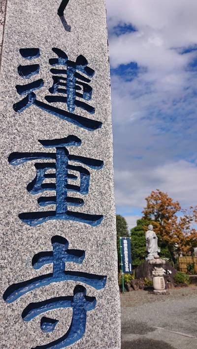 蓮重寺,見どころ,ながまつ・西源寺Jr.