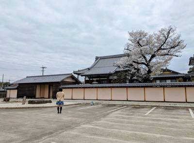 覚成寺,見どころ,平沢凛
