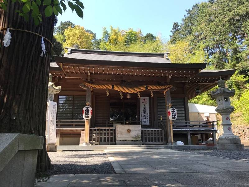 中氷川神社 御朱印 所沢市 埼玉県 Omairi おまいり