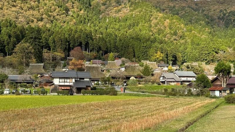 知井八幡神社,京都府南丹市美山町北