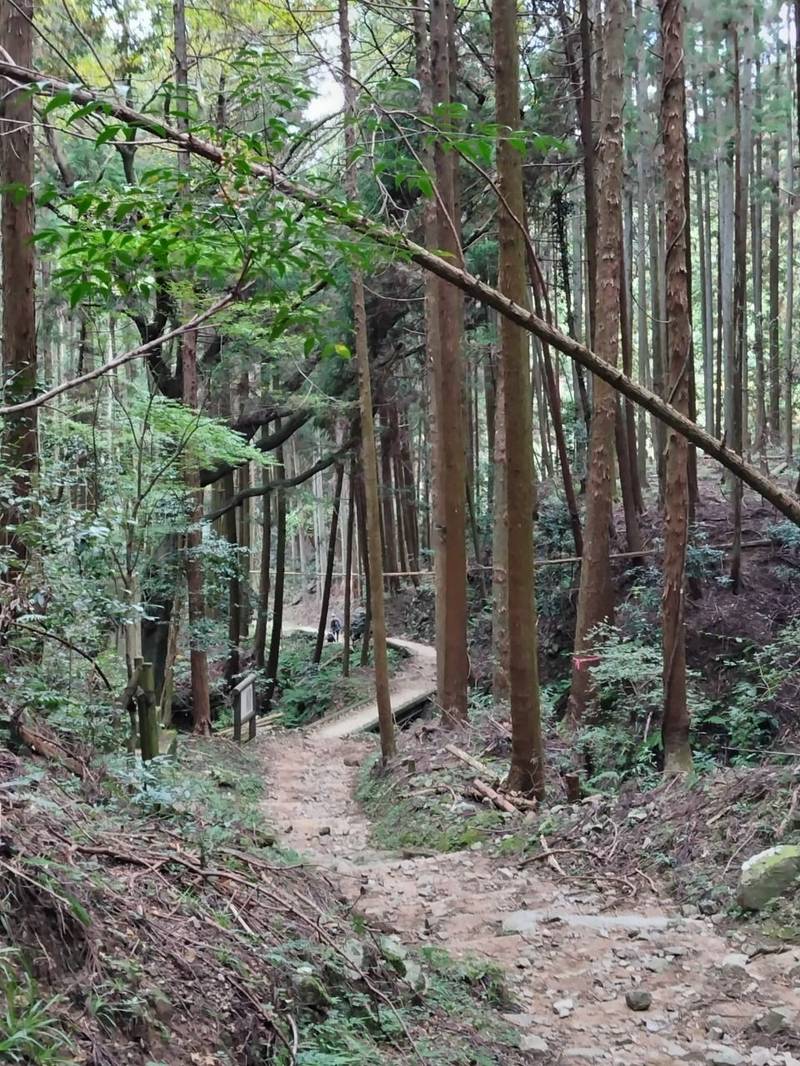 大和三寳荒神社,奈良県高市郡高取町大字上子島549番