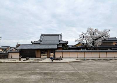 覚成寺,見どころ,平沢凛