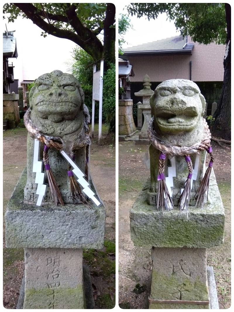 桑原神社,兵庫県姫路市伊伝居427