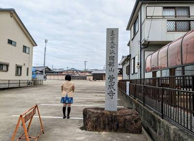 覚成寺,見どころ,平沢凛