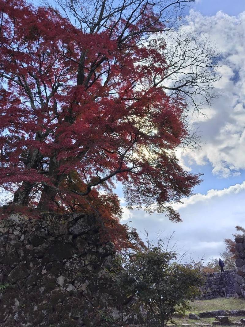 大和三寳荒神社,奈良県高市郡高取町大字上子島549番