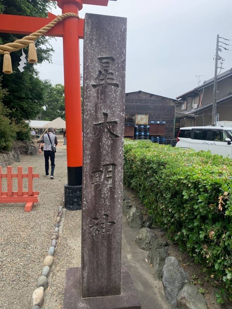 星大明社,愛知県愛西市西保町宮西１２９