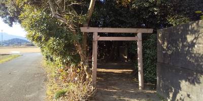 志茂社,見どころ,くりちゃん