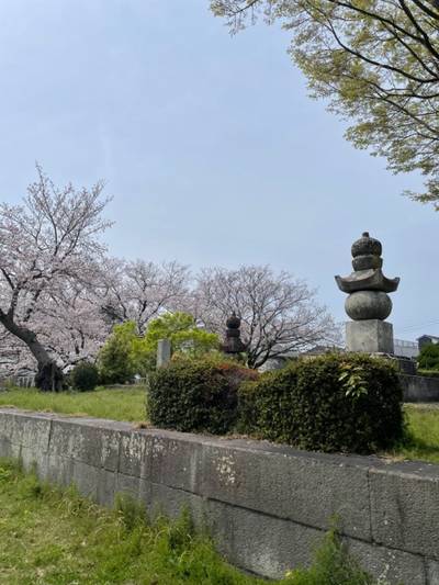 興源寺,見どころ,ふくちゃん