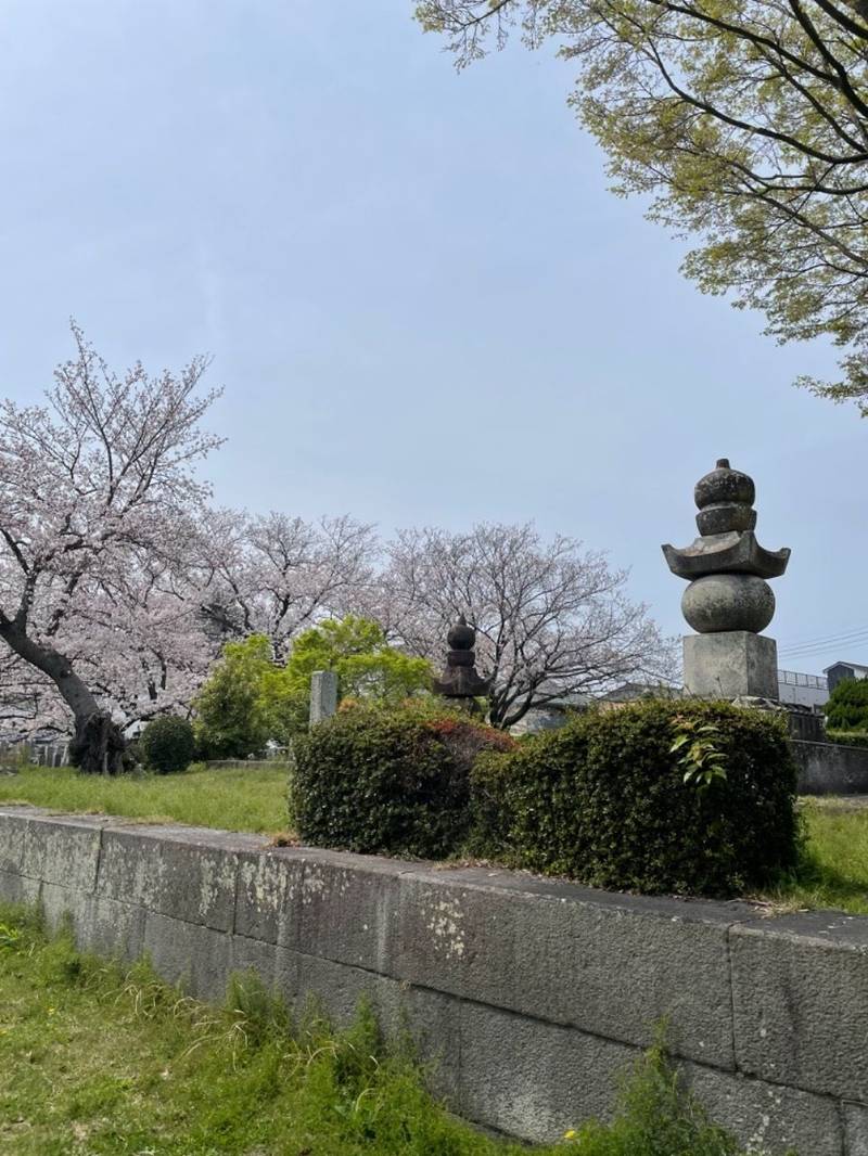 興源寺,徳島県徳島市下助任町2-45