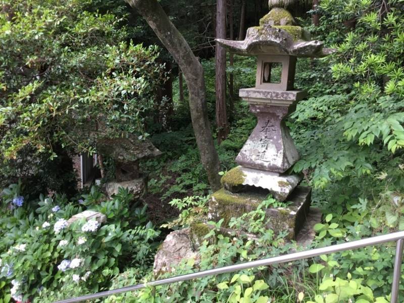 鹿児神社,高知県高知市大津乙3199