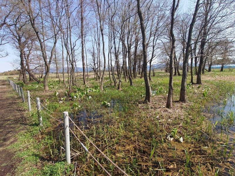 江尻諏訪神社,新潟県胎内市江尻153