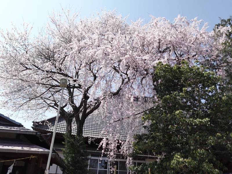 古町豊受大神宮,長野県小県郡長和町古町３８７６−１３