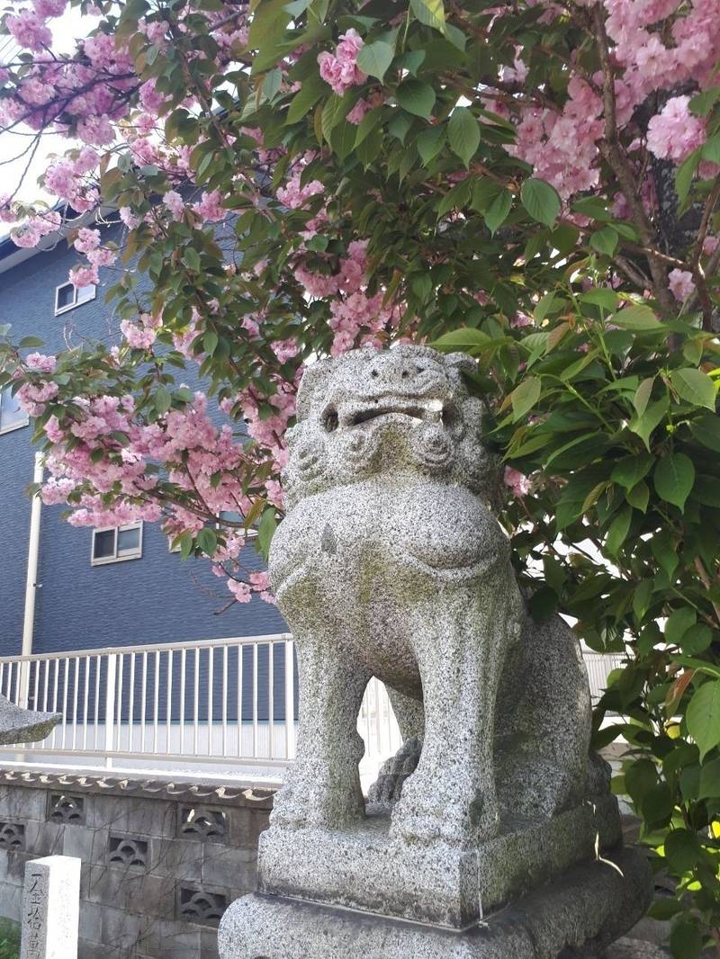 須賀神社,福岡県直方市新町1丁目８