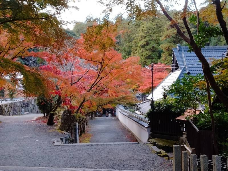 神峯山寺,大阪府高槻市原3301-1