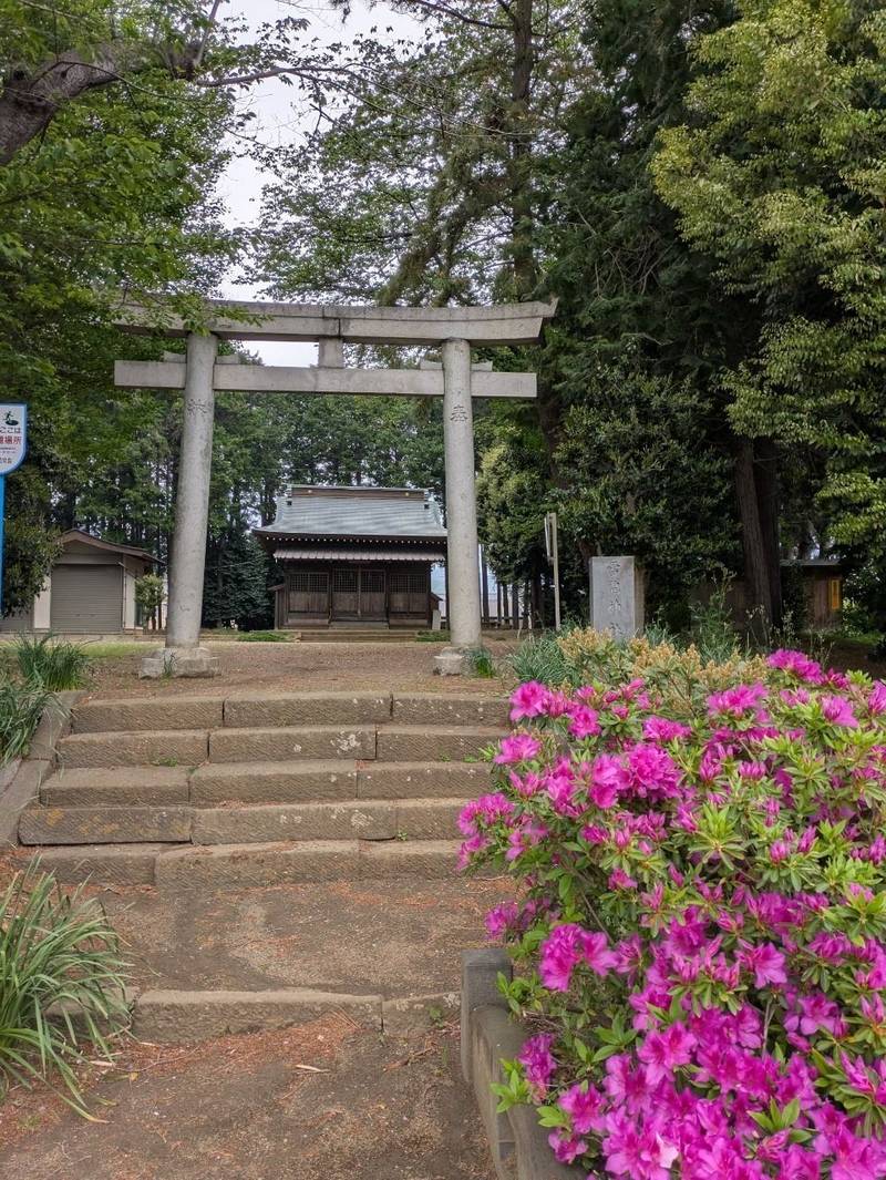 雷電神社,神奈川県伊勢原市串橋264