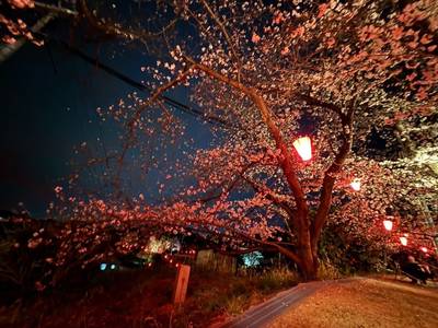 國鉾神社,見どころ,niko1222