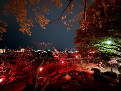 國鉾神社,見どころ,niko1222