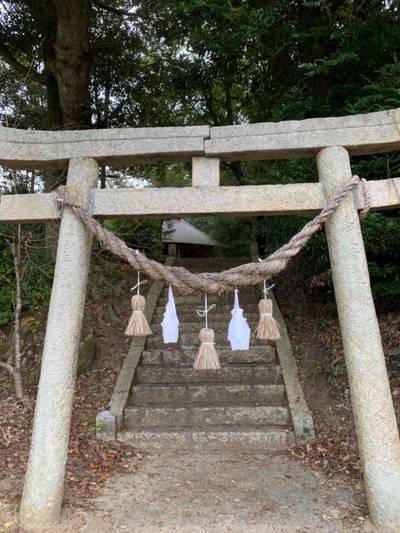 大歳神社,見どころ,ヤマヤマ