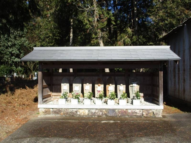 法泉寺,兵庫県丹波市市島町勅使６６２−１