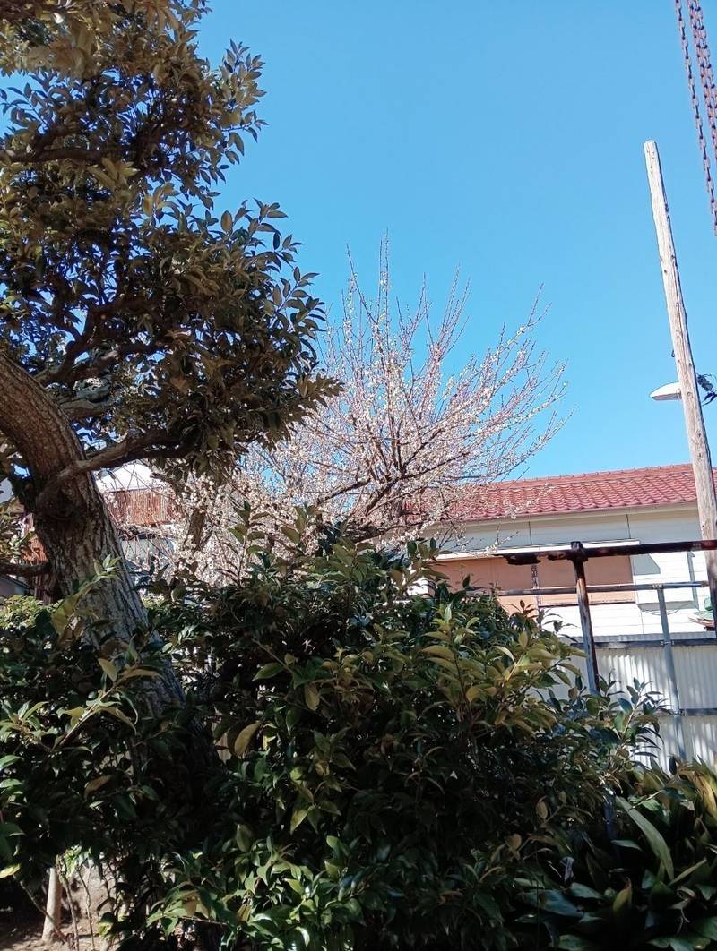 見桃寺,神奈川県三浦市白石町19-2