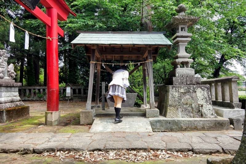 中野谷神社,群馬県安中市中野谷２０６９番地