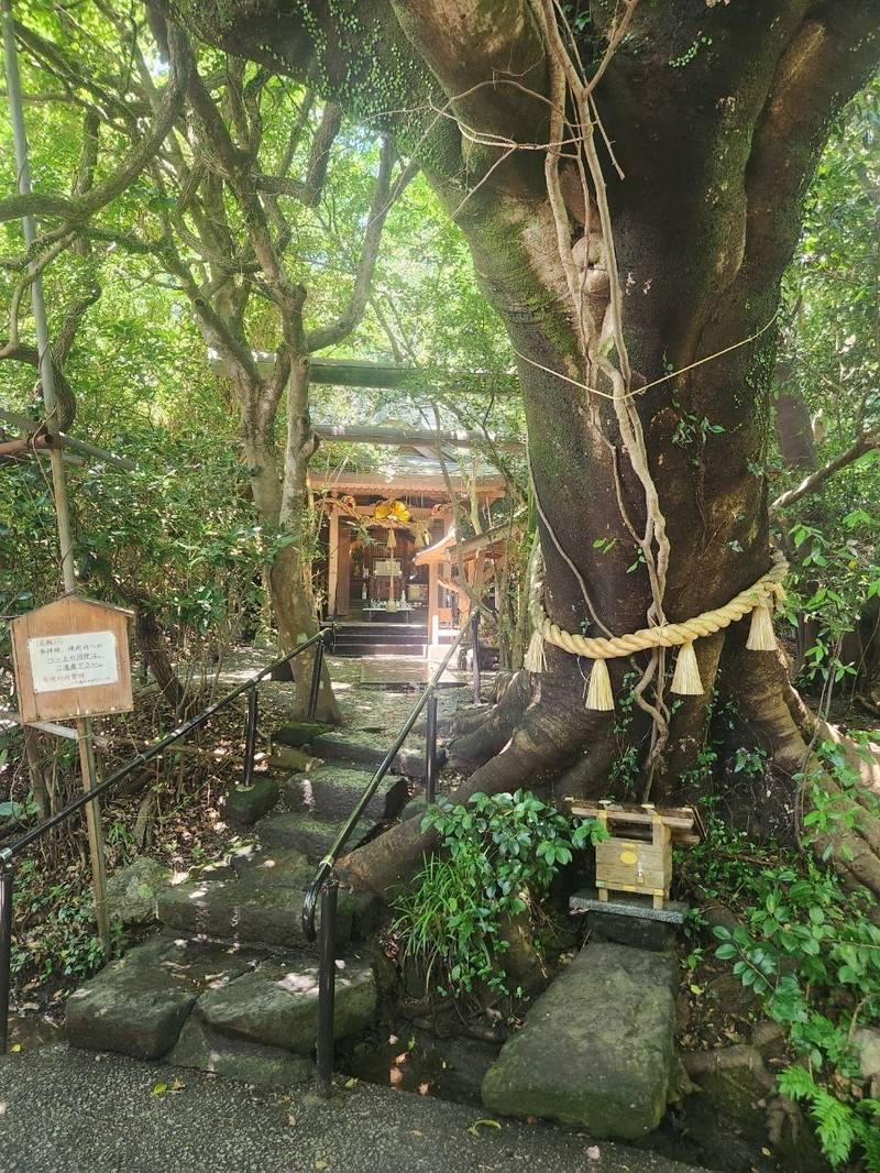 八大龍王水神社,宮崎県西臼杵郡高千穂町大字岩戸6521