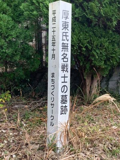 大歳神社,見どころ,ヤマヤマ