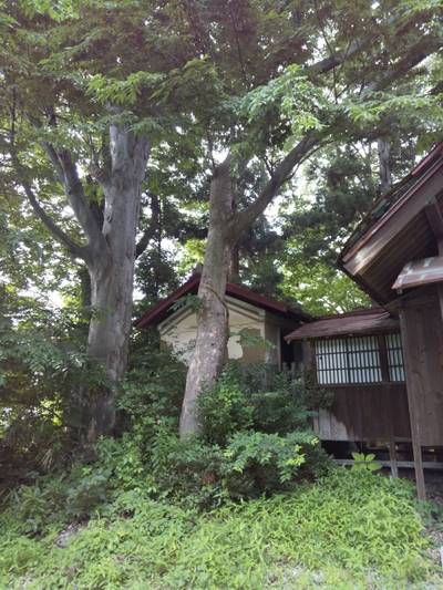 福田稲荷神社,見どころ,つち