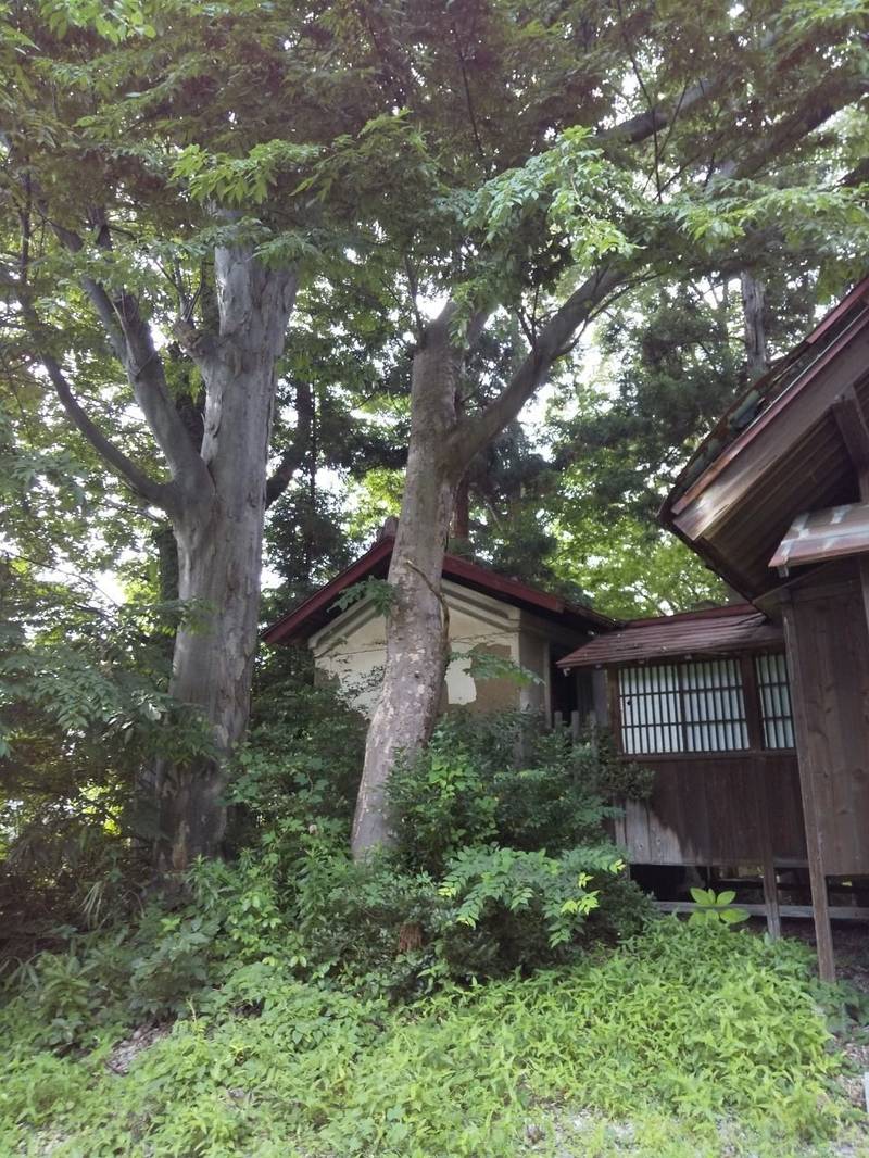 福田稲荷神社,山形県天童市本町1-8-12