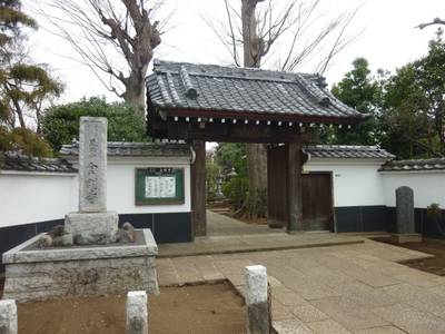 金剛寺,見どころ,Myutan