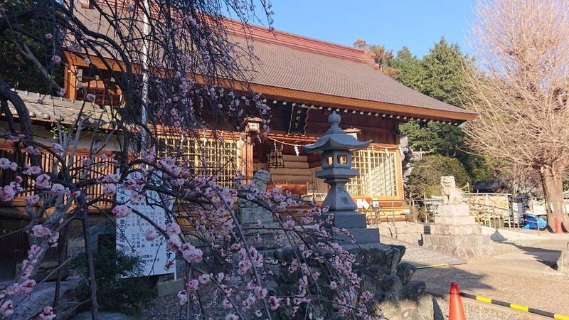 東田神明宮 見どころ 豊橋市 愛知県 Omairi おまいり