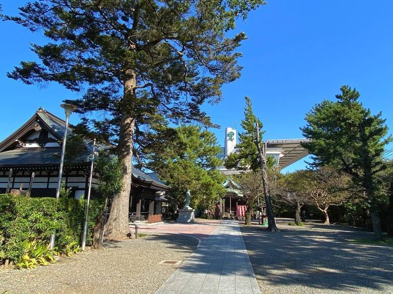安養寺,東京都府中市本町1-17-10