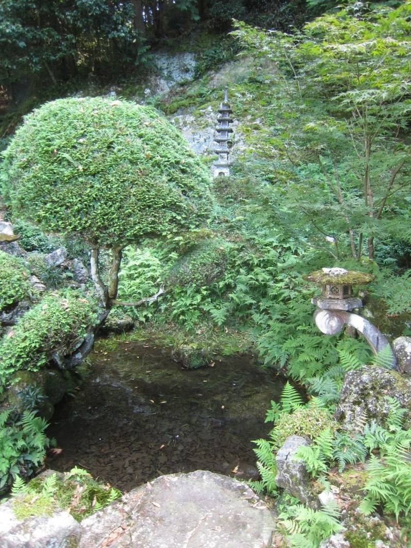 若林寺,兵庫県丹波篠山市栗栖野480
