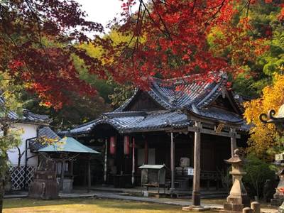 観音寺      (山崎聖天),見どころ,maki