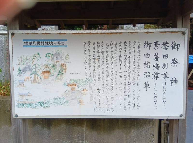 坂田八幡神社,千葉県君津市坂田863