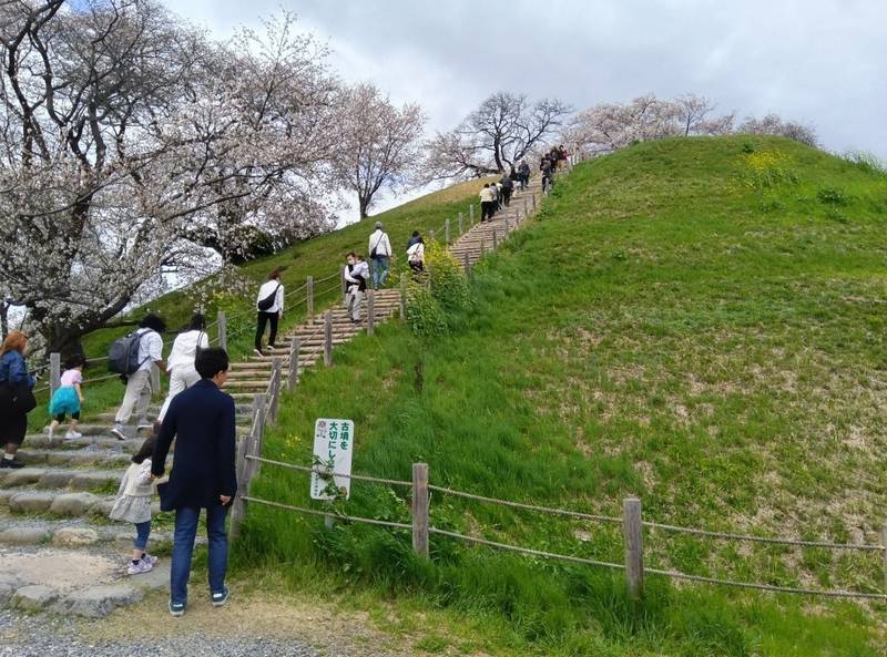 丸墓山古墳,埼玉県行田市埼玉